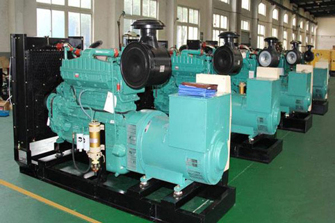 熊口管理区小型柴油发电机